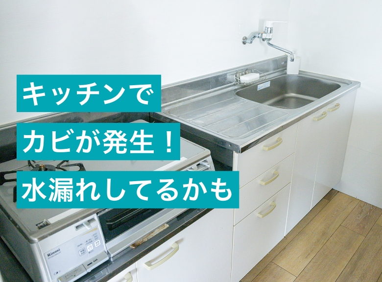 キッチンでカビが発生!水漏れしてるかも